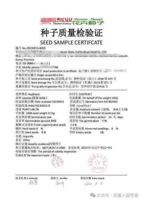 帶你打造花園花海,承包你2024一整年的浪漫
